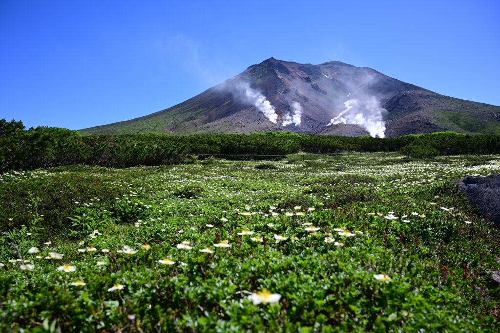 登山