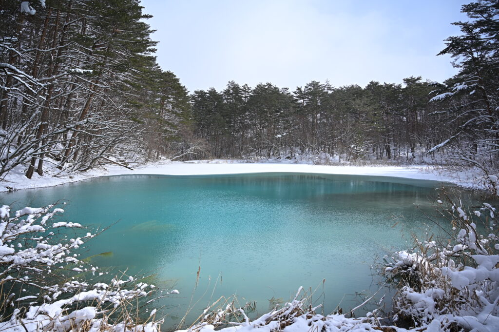 青沼